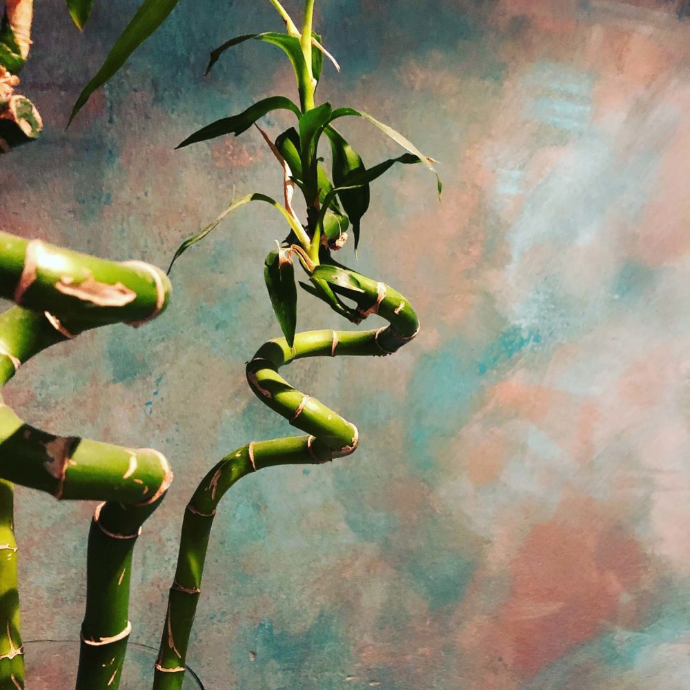 F18D8C83 BB68 456F A7C3 56B9D10563B1